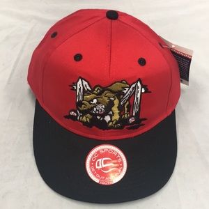 MiLB minor league baseball boys youth size